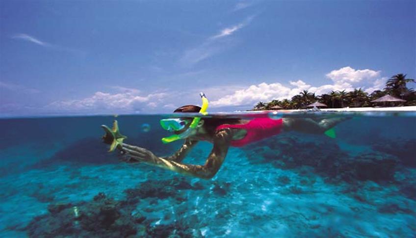 Snorkeling: un'escursione acquatica Snorkeling: un'escursione acquatica